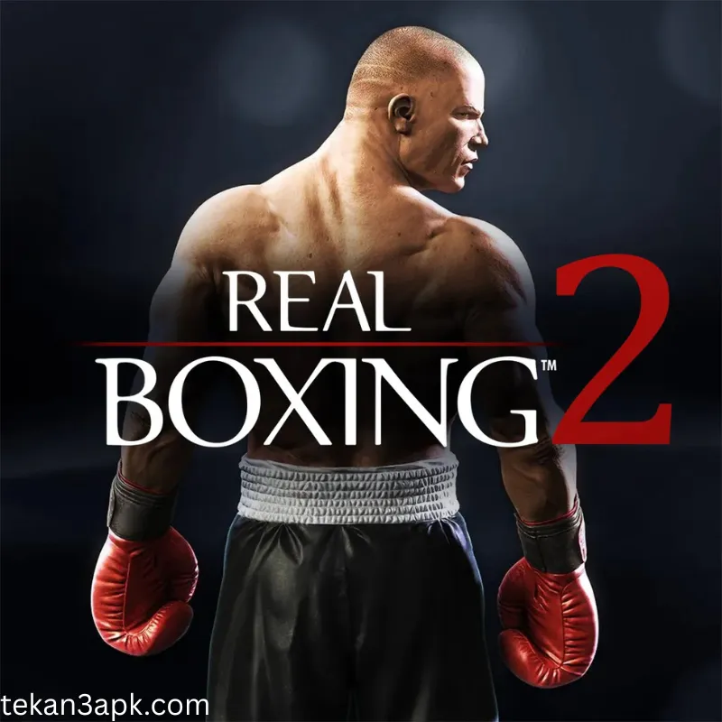 Best Offline Fighting Games Like Tekken 3 (No Internet Required) 5 Real Boxing 2